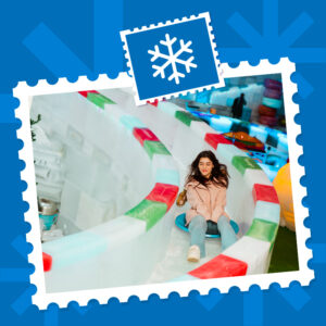 Winterland Standard Ticket